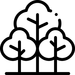 trees trees